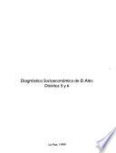 Diagnóstico socioeconómico de El Alto, distritos 5 y 6