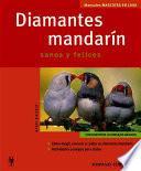 Diamantes mandarín