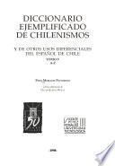 Diccionario ejemplificado de chilenismos y de otros usos diferenciales del español de Chile