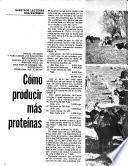 Dinamica rural