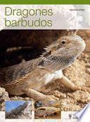 Dragones barbudos
