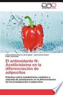 El antioxidante N-Acetilcisteína en la diferenciación de adipocitos