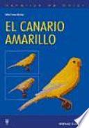 El canario amarillo