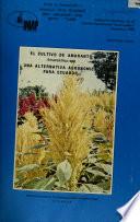 El Cultivo De Amaranto