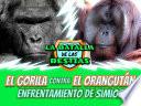 El gorila contra el orangután