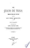 El grano de trigo