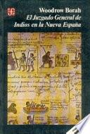 El Juzgado General de Indios en la Nueva España