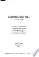 El lienzo de Cuetzpala, Puebla