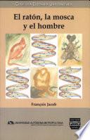 El raton, la mosca y el hombre / the Mouse, the Fly and the Man