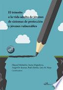 El tránsito a la vida adulta de jóvenes de sistemas de protección y jóvenes vulnerables.