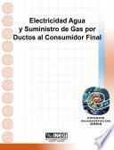Electricidad, agua y suministro de gas por ductos al consumidor final. Censos Económicos 2004
