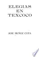 Elegías en Texcoco