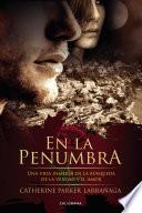 En la penumbra