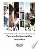 ENADID. Encuesta Nacional de la Dinámica Demográfica 1997. Panorama sociodemográfico. Tamaulipas