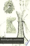 Enciclopedia anatómica