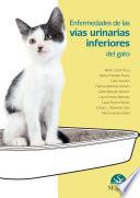 Enfermedades de las vías urinarias inferiores del gato