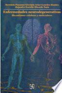 Enfermedades neurodegenerativas