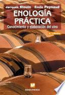 Enología práctica