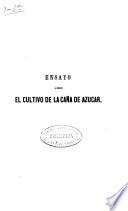 Ensayo sobre el cultivo de la caña de azucar