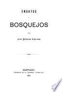 Ensayos y bosquejos