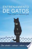 Entrenamiento de gatos porque el gato es simplemente gato