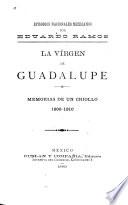 Episodios históricos mexicanos: La Vírgen de Guadalupe