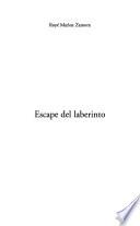 Escape de laberinto