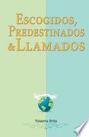 Escogidos, predestinados y llamados: ¿Qué dice la Biblia en relación con estas preguntas?