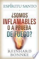 Espiritu Santo - Somos inflamables o prueba de fuego?