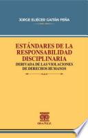 Estándares de la responsabilidad disciplinaria derivada de las violaciones de derechos humanos