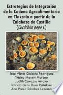 Estrategias de Integración de la Cadena Agroalimentaria en Tlaxcala a partir de la Calabaza de Castilla (Cucúrbita pepo L.)