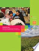Estudio de Caso: evaluacion de impacto de la intervencion del proyecto INCOPA/CAPAC en Andahuaylas