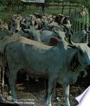 Estudio de la situación de la salud animal en las Américas