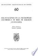 Excavaciones en la necrópolis celtibérica de Riba de Saelices, Guadalajara