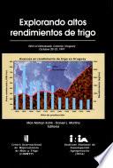 Explorando altos rendimientos de trigo