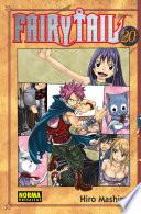 Fairy Tail 20