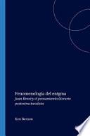 Fenomenología del enigma