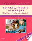 Ferrets, Rabbits and Rodents - E-Book