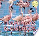 Flamingos / Flamencos