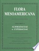 Flora Mesoamericana: Alismataceae a Cyperaceae