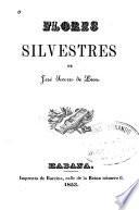 Flores silvestres de José Socorro de León