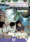 Formacion Profesional Y Mercado Laboral : Via Real Hacia la Certificacion