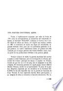Fray Vicente Solano