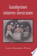 Gambusinos y mineros mexicanos