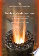 Gasificación de biomasa. Estudios teórico-experimentales en lecho fijo equicorriente