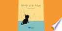 Gato y la raya