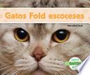 Gatos Fold Escoceses