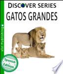 Gatos Grandes