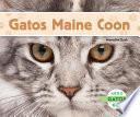 Gatos Maine Coon (Maine Coon Cats) (Spanish Version)