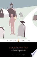 Grandes esperanzas (Los mejores clásicos)